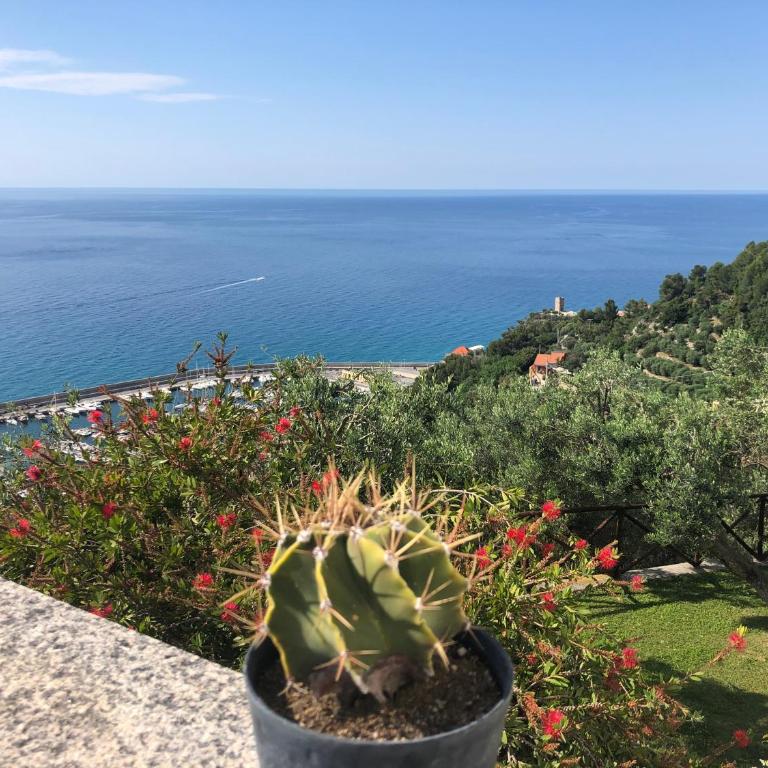 Villa Degli Ulivi B&B - Suite Deluxe con Vista Mare - 1