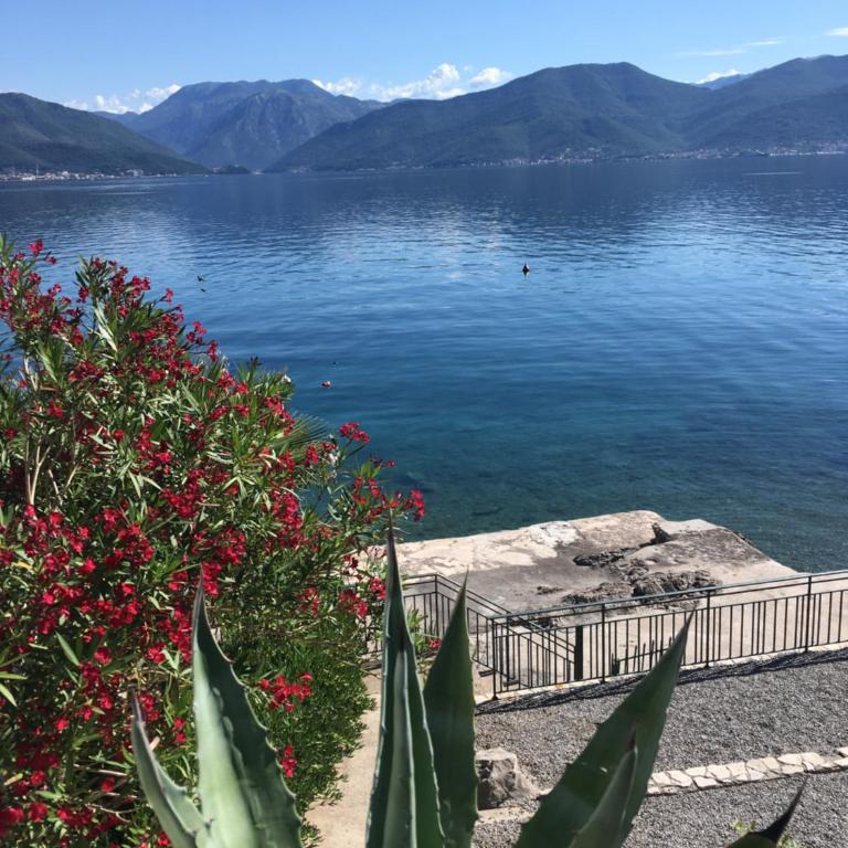 Apartment Tri Kiparisa - Apartman sa Pogledom na More - 10