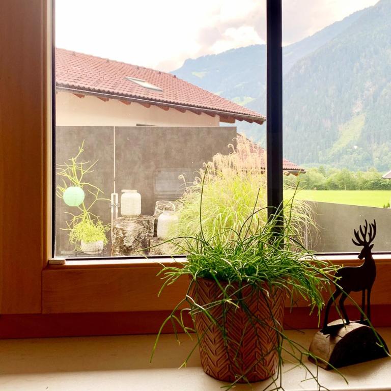 Apart Haus Bella - Apartment mit 1 Schlafzimmer - 14