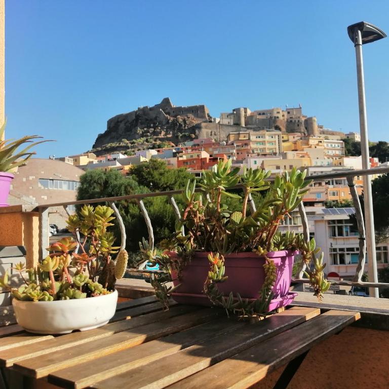 Cavalluccio Marino - Appartement 1 Chambre - Vue sur Mer - 27