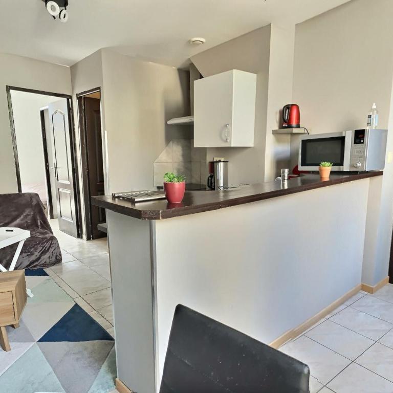 Des appartements au calme dans un immeuble historique - Appartement 1 Chambre - 5