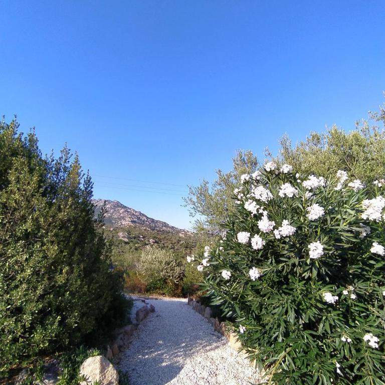 Casagliana Suite Resort - Appartamento - Piano Terra - 16