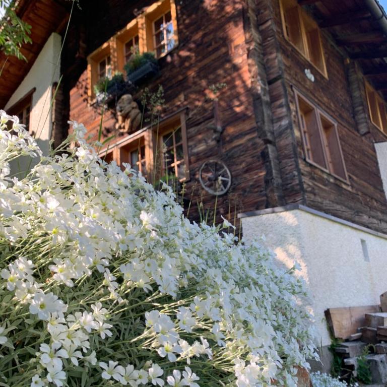 Châlet Birkhahn - Chalet - 26