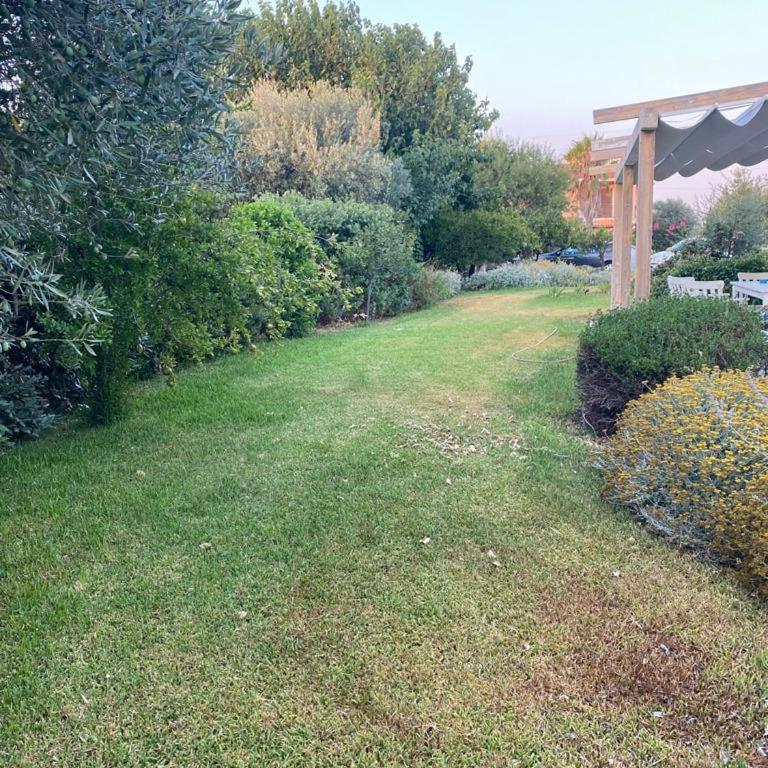 Villa Garden - Villa - 14