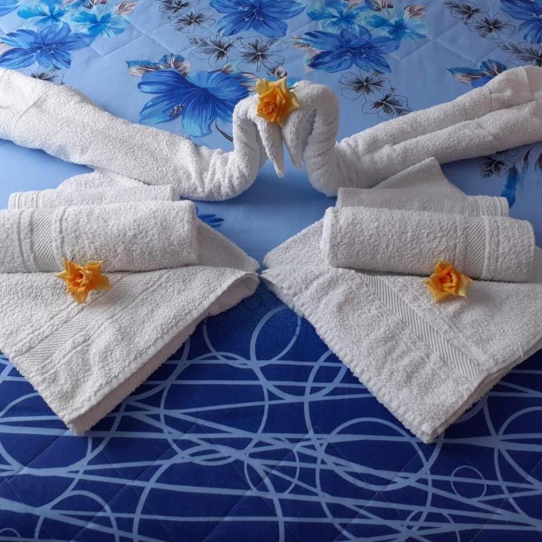 Apartmani Slađo - Apartman sa Terasom - 1