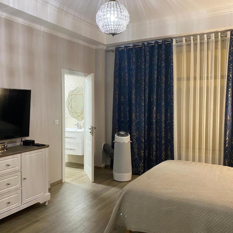 Large beautiful studio near the NEGRESCO HOTEL - Studio Deluxe - 8