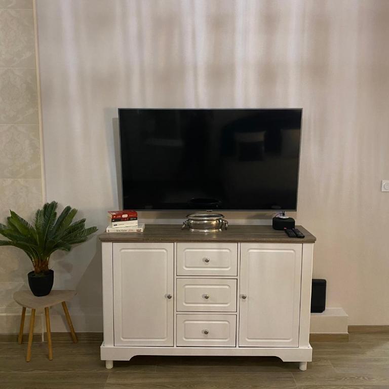 Large beautiful studio near the NEGRESCO HOTEL - Studio Deluxe - 12