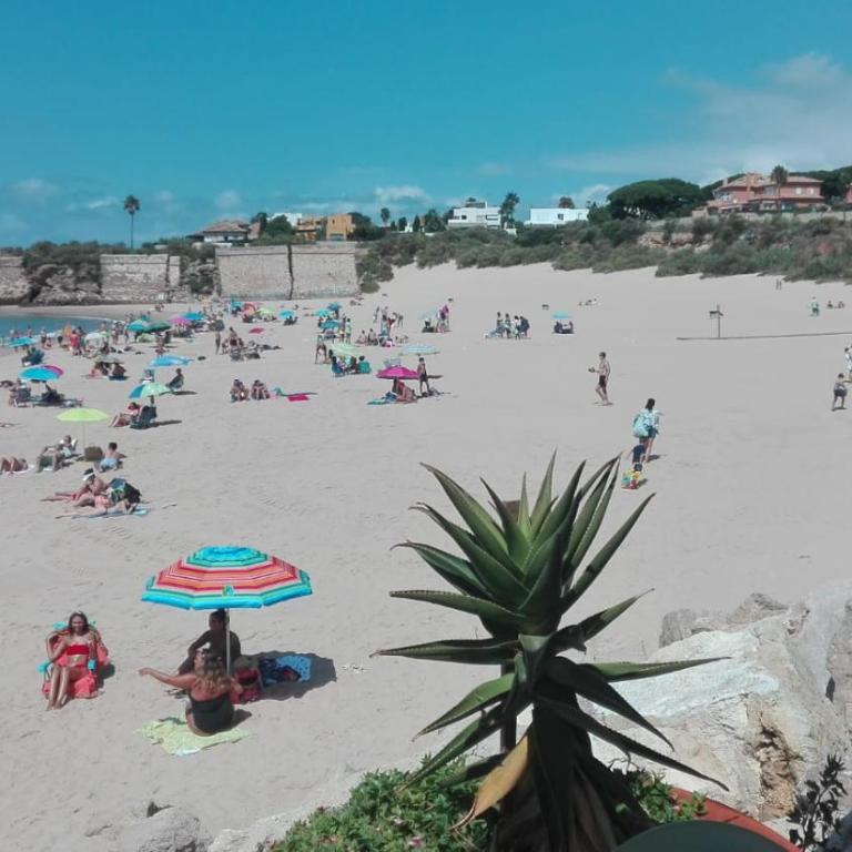 Loft El pez blanco - Apartamento Estudio - 22