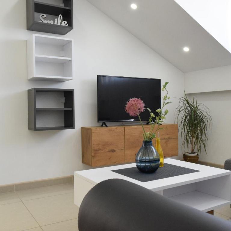 S-Apartmani Jagodina - Apartman - 4