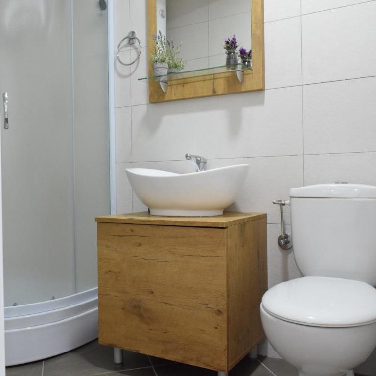 S-Apartmani Jagodina - Apartman - 8
