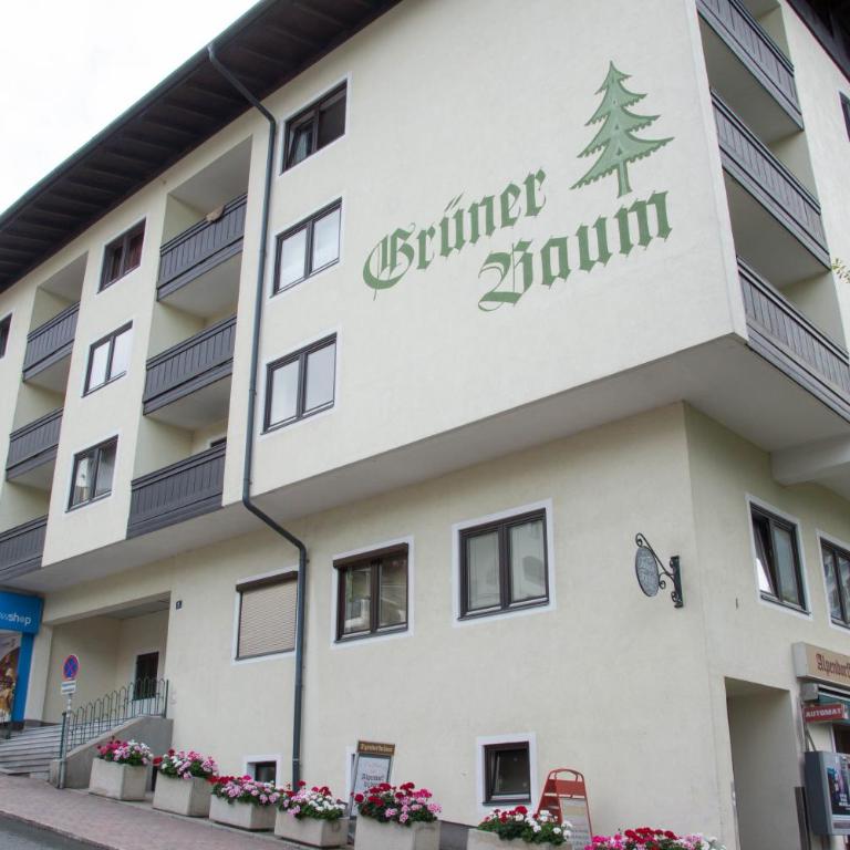Apartment 12 Grüner Baum Alpendorf - Apartment mit 1 Schlafzimmer - 7