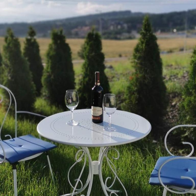 Apartman sa dvorištem Modesty Apartment Zlatibor - Apartment - 33