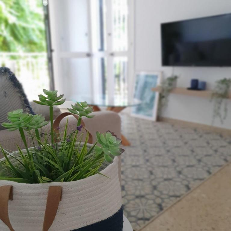 Seaview Apartment - Two-Bedroom Apartment - 14