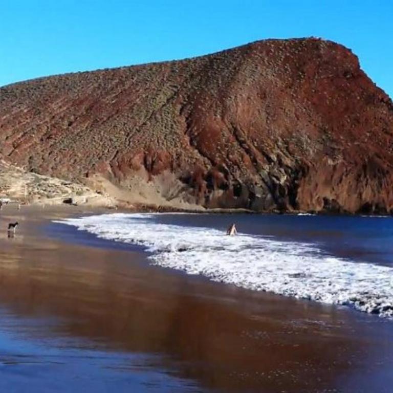 327 - Edf Aguamarina - Vacation Rental Home in the coast line of Golf del Sur - Apartamento de 1 dormitorio - 47