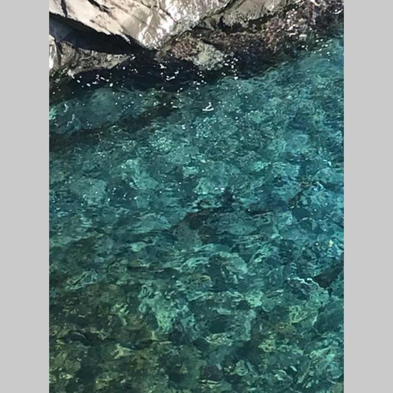 Casa Franci Residence Vittoria Nervi Genova piscina mare relax - Apartamento de 1 dormitorio - 54