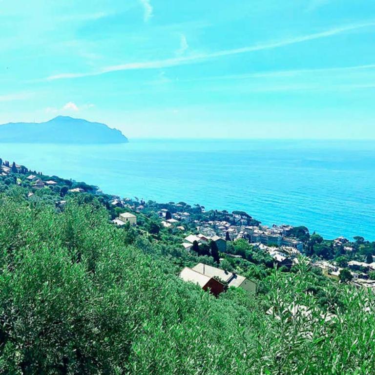 Casa Franci Residence Vittoria Nervi Genova piscina mare relax - Apartamento de 1 dormitorio - 72