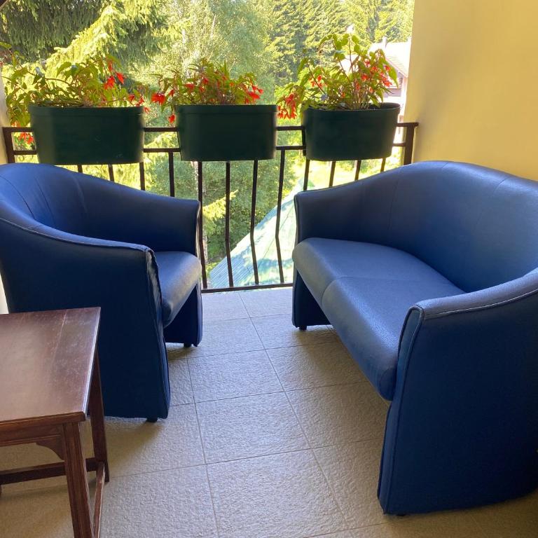 Dusa Zlatibora - One-Bedroom Apartment - 8