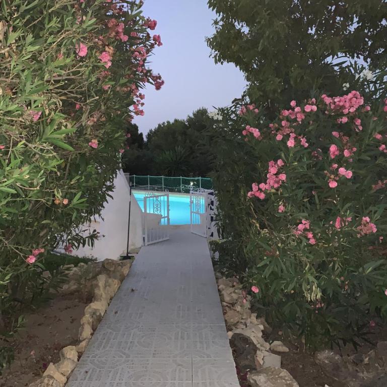 el garbi - Villa - 18