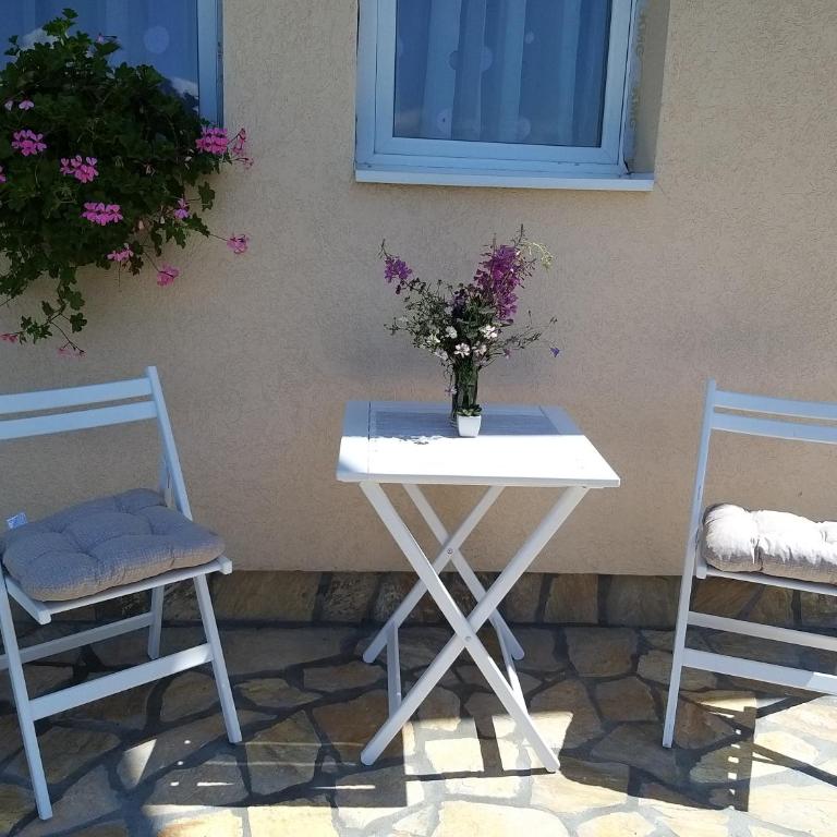 Villa Snow Queen Kopaonik - Apartment - Ground Floor - 1