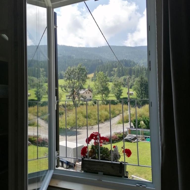 Studio Holunder Weissbriach - Studio-Apartment - 6