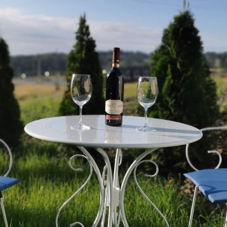 Apartman sa dvorištem Modesty Apartment Zlatibor - Apartment - 15