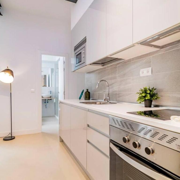 Exclusivo Apartamento en Chamberí Fernando El Católico by Batuecas - Two-Bedroom Apartment - 4