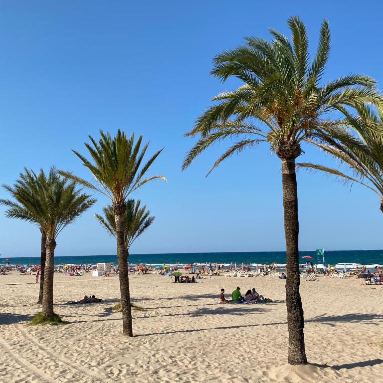 Apartamento "Navarra" 350m de la playa - Apartamento de 3 dormitorios - 37