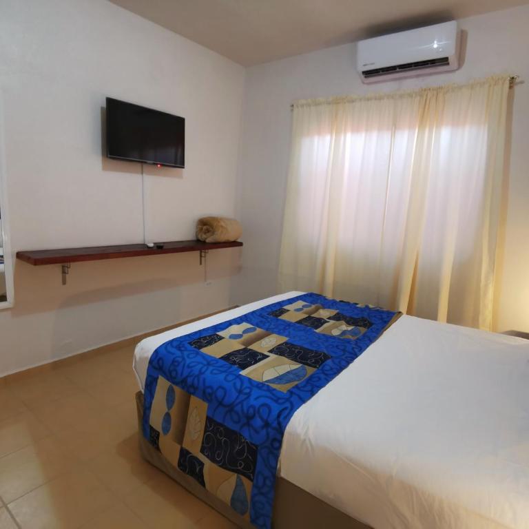 Casa del Cono - Apartamento de 3 dormitorios - 3