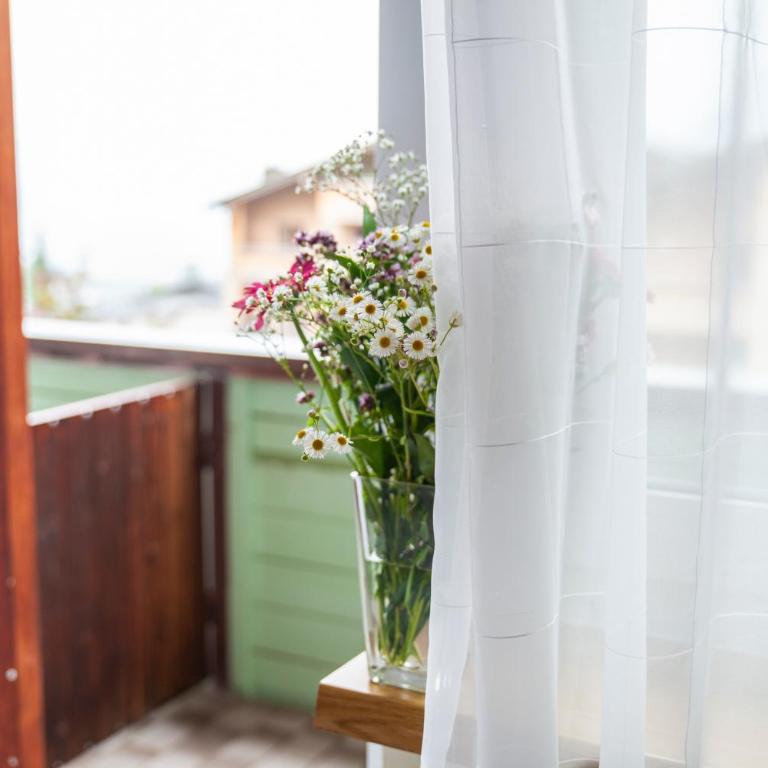 Hotel Garni Brigitte - Superior One-Bedroom Apartment with Balcony - 21