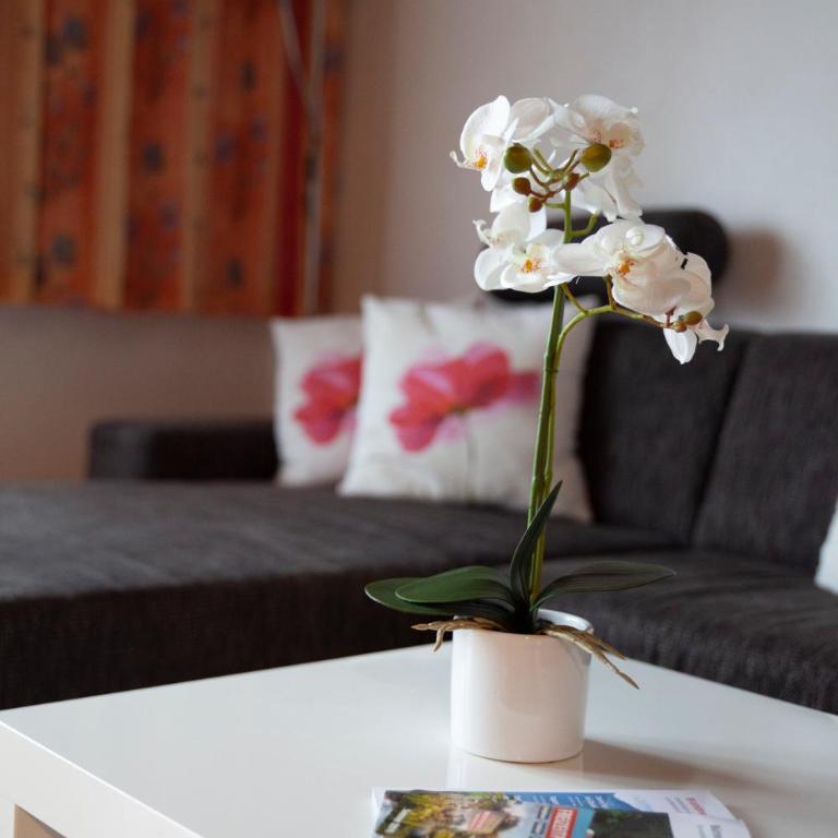 Hotel Garni Brigitte - Superior One-Bedroom Apartment with Balcony - 17