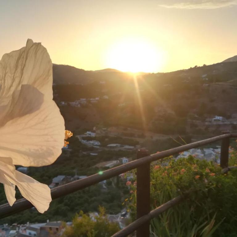 Casa Ana, Fantásticas vistas a Frigiliana, el mar y la montaña - Casa de 2 dormitorios - 27