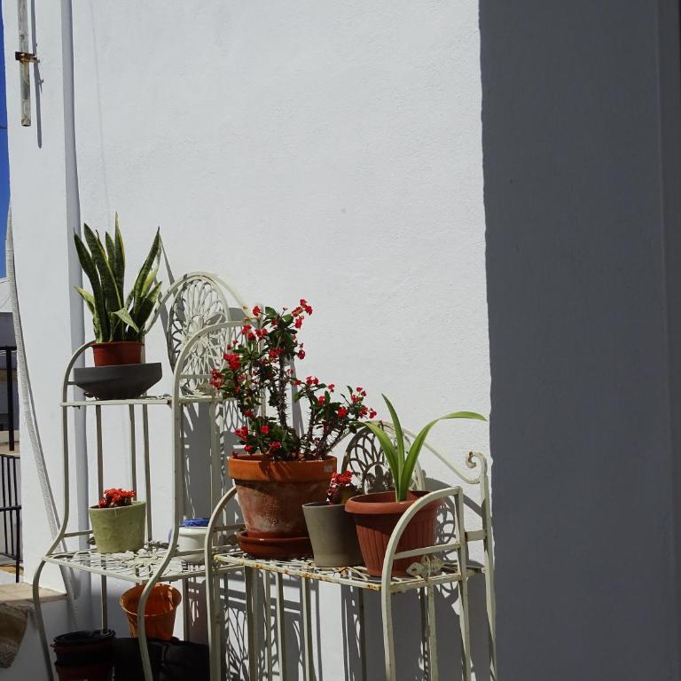 El ático de los mosaicos - Apartamento de 1 dormitorio - 22