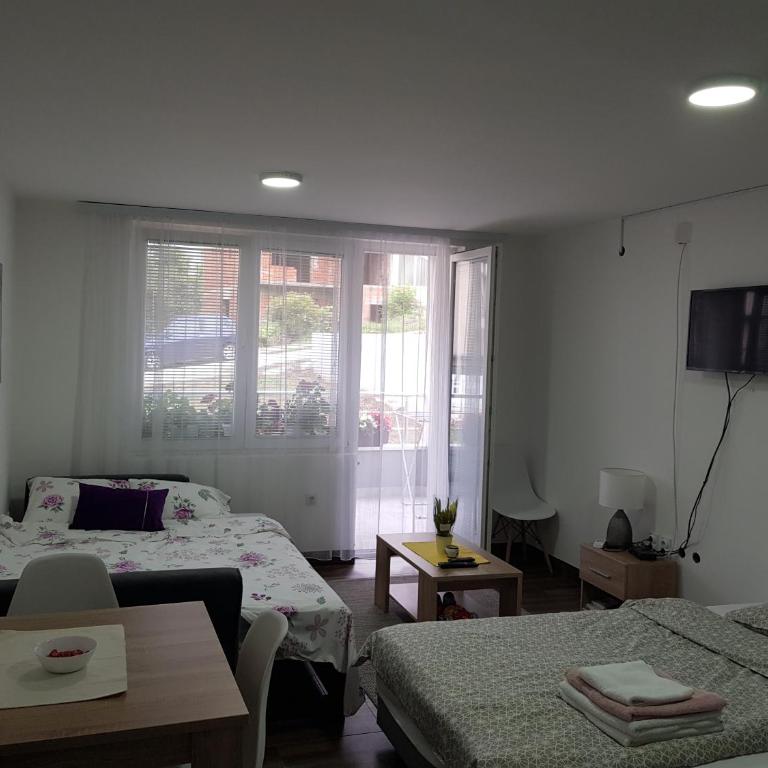 MIKABEL Sokobanja - Studio Apartman - 3