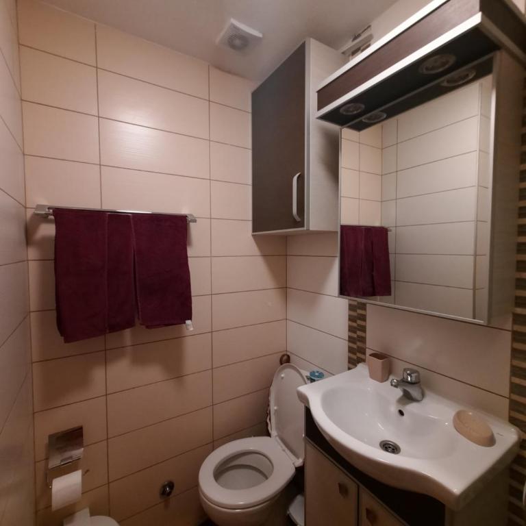 Apartman Ana - Apartman sa 1 Spavaćom Sobom - 17