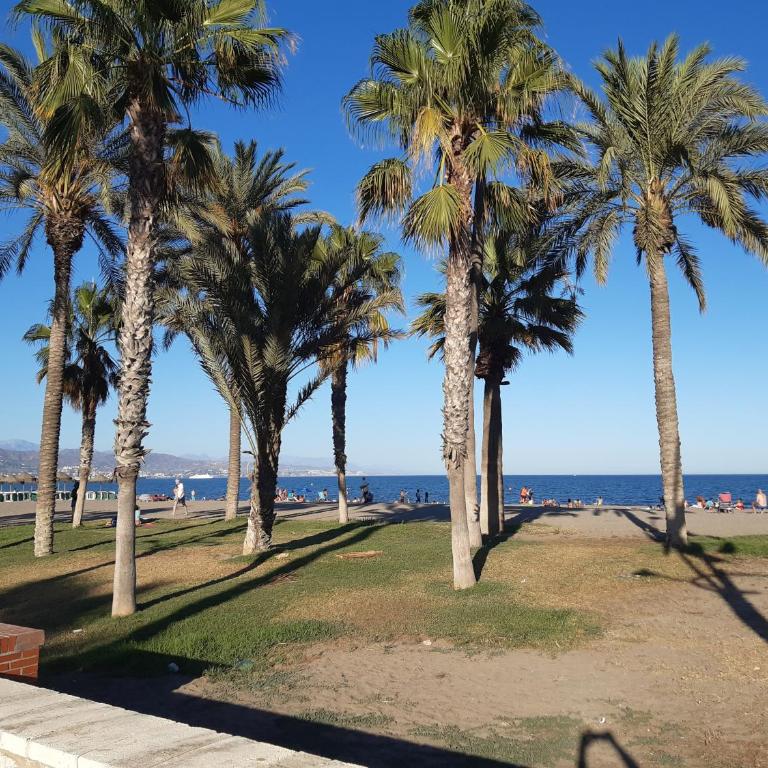 Apartamento Eursu Playa - Apartamento de 1 dormitorio - 29