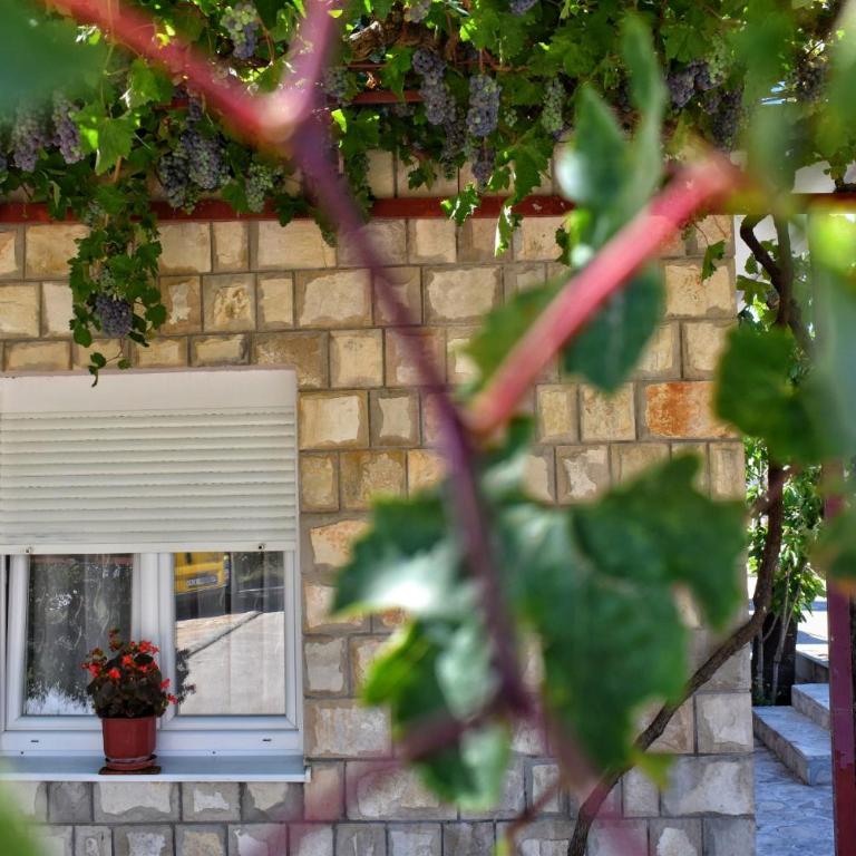 Apartman Samardzic - Apartman sa 1 Spavaćom Sobom - 19
