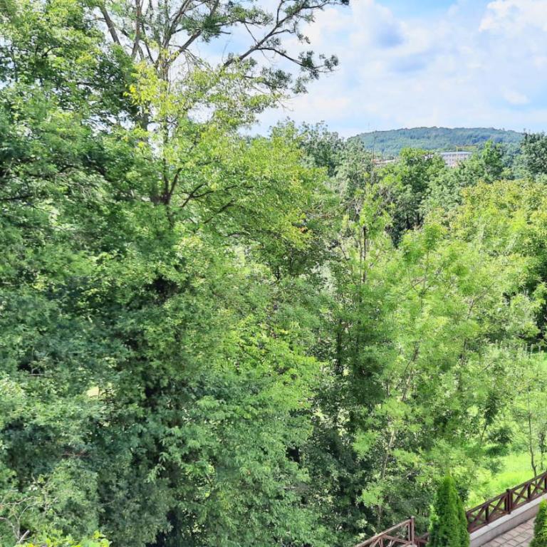 Apartman Ana - Apartman sa 1 Spavaćom Sobom - 20