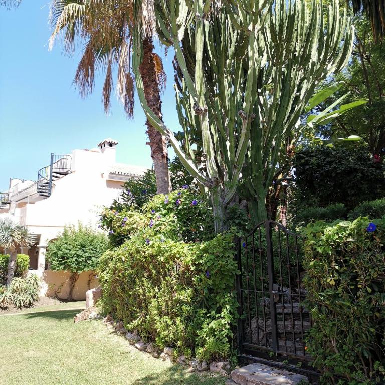 Apartamento entre Marbella y Estepona - Apartamento de 2 dormitorios - 39