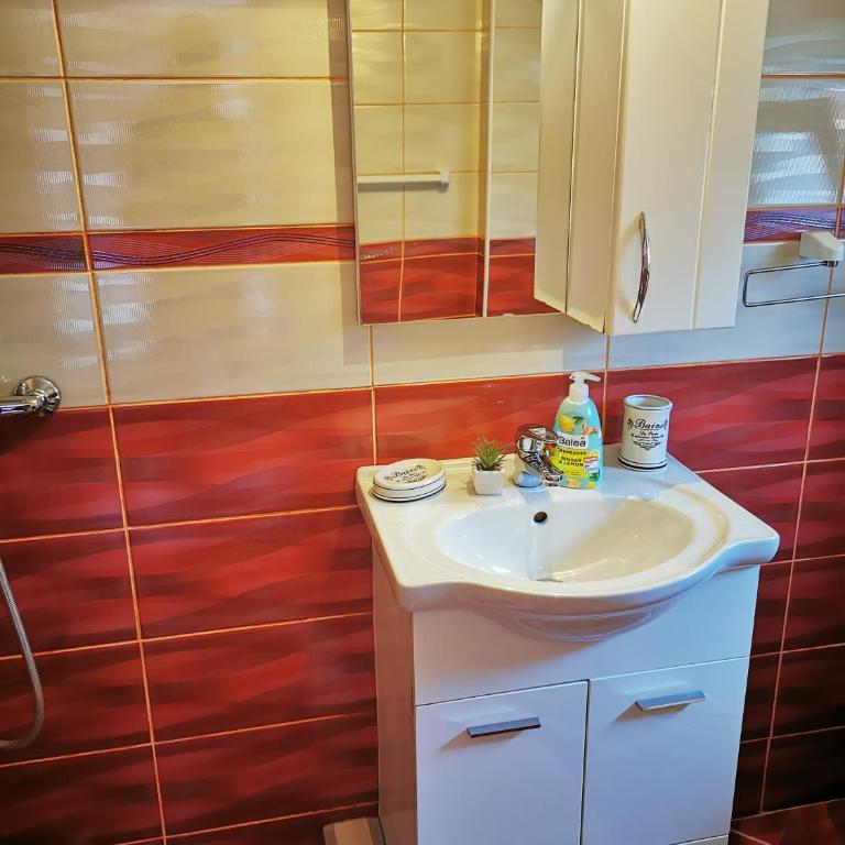 Apartman Miljanović - Apartman sa 1 Spavaćom Sobom - 11