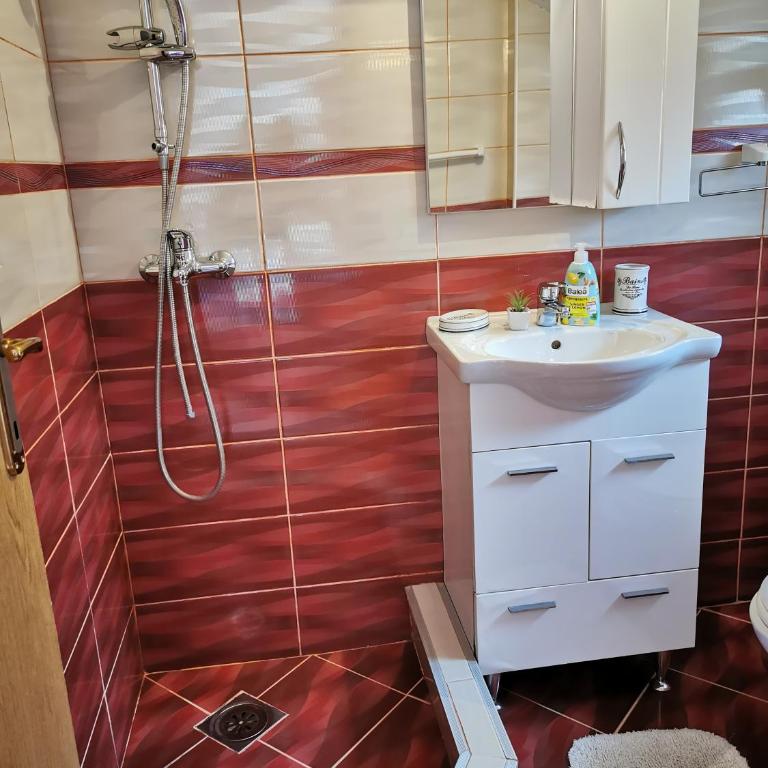 Apartman Miljanović - Apartman sa 1 Spavaćom Sobom - 17