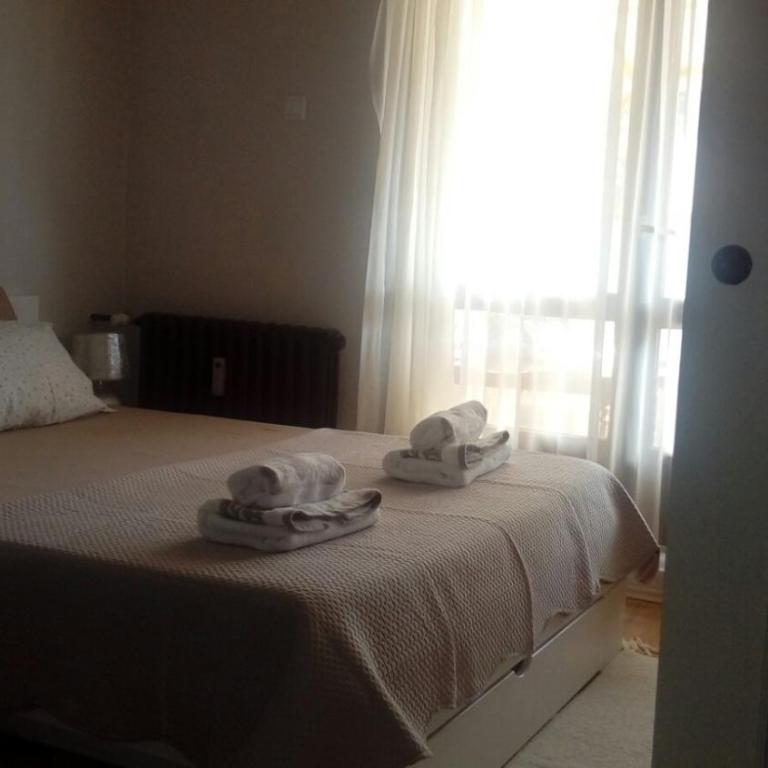 Vila Zora apartman - Apartman sa 1 Spavaćom Sobom - 9