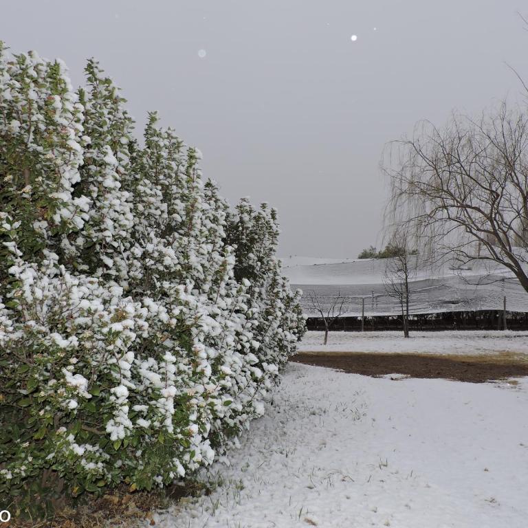 El Cántaro - Apartamento de 2 dormitorios - 63