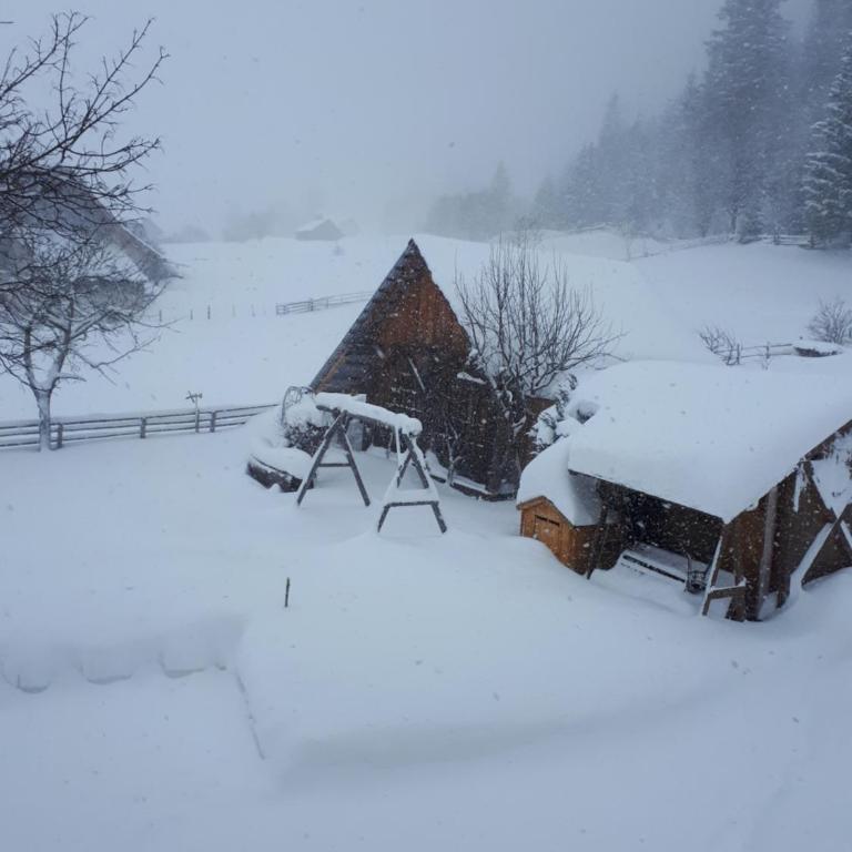 Apartment Haus Dengg - Apartment mit Blick auf die Berge - 17