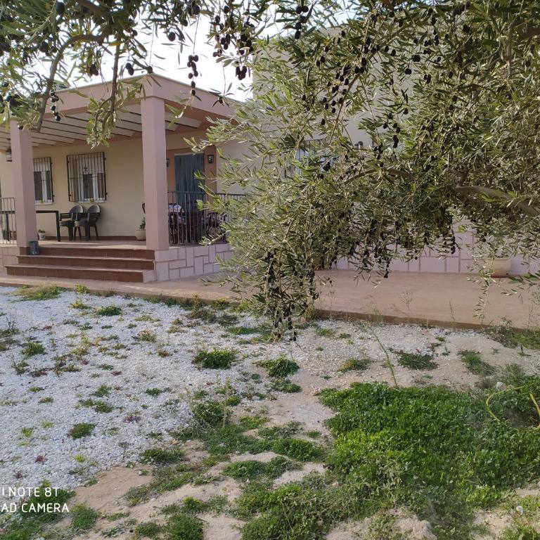 Cortijo Oliveras Moratalla - Casa de 4 dormitorios - 22