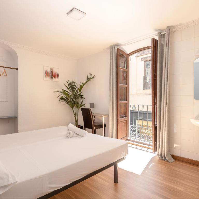 Pensión Zacatin - Double or Twin Room with Shared Bathroom - 1