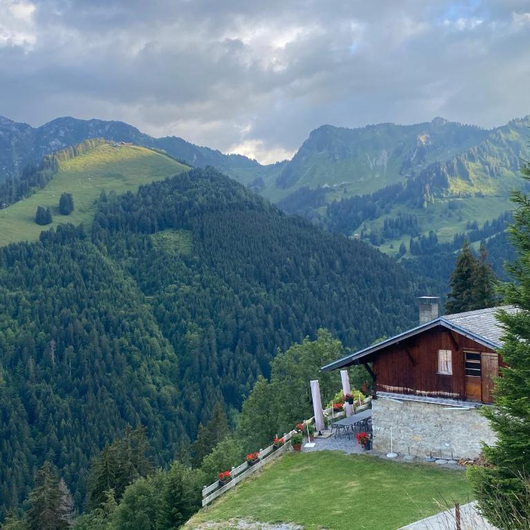 Alpine apartment in Swiss village of Torgon - Apartment mit 1 Schlafzimmer - 30