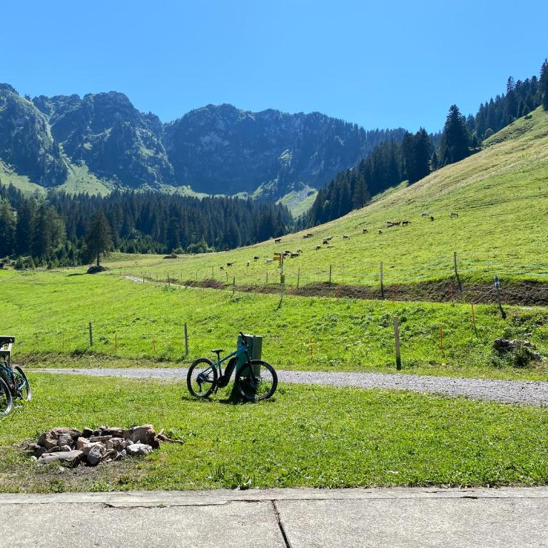 Alpine apartment in Swiss village of Torgon - Apartment mit 1 Schlafzimmer - 26