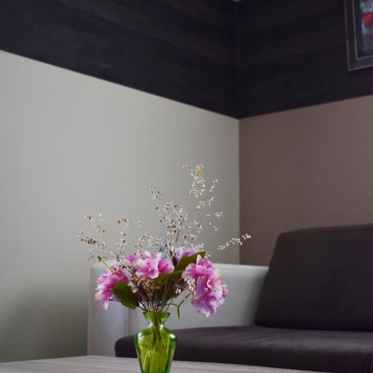 Milmari Friends and Family - One-Bedroom Apartment - 23