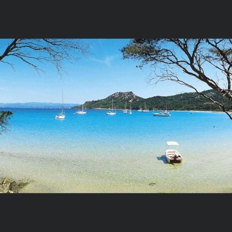 Appartement climatisé Bord de Mer La Faviere - Apartamento con terraza - 13