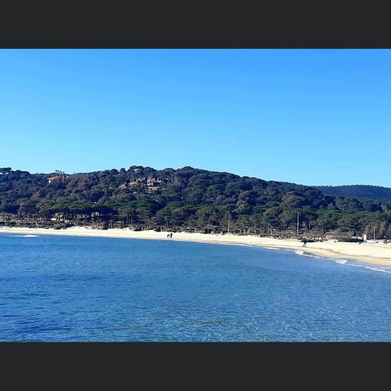 Appartement climatisé Bord de Mer La Faviere - Apartamento con terraza - 14